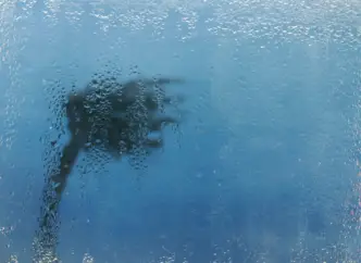 palm tree outside in storm blowing, condensation on glass